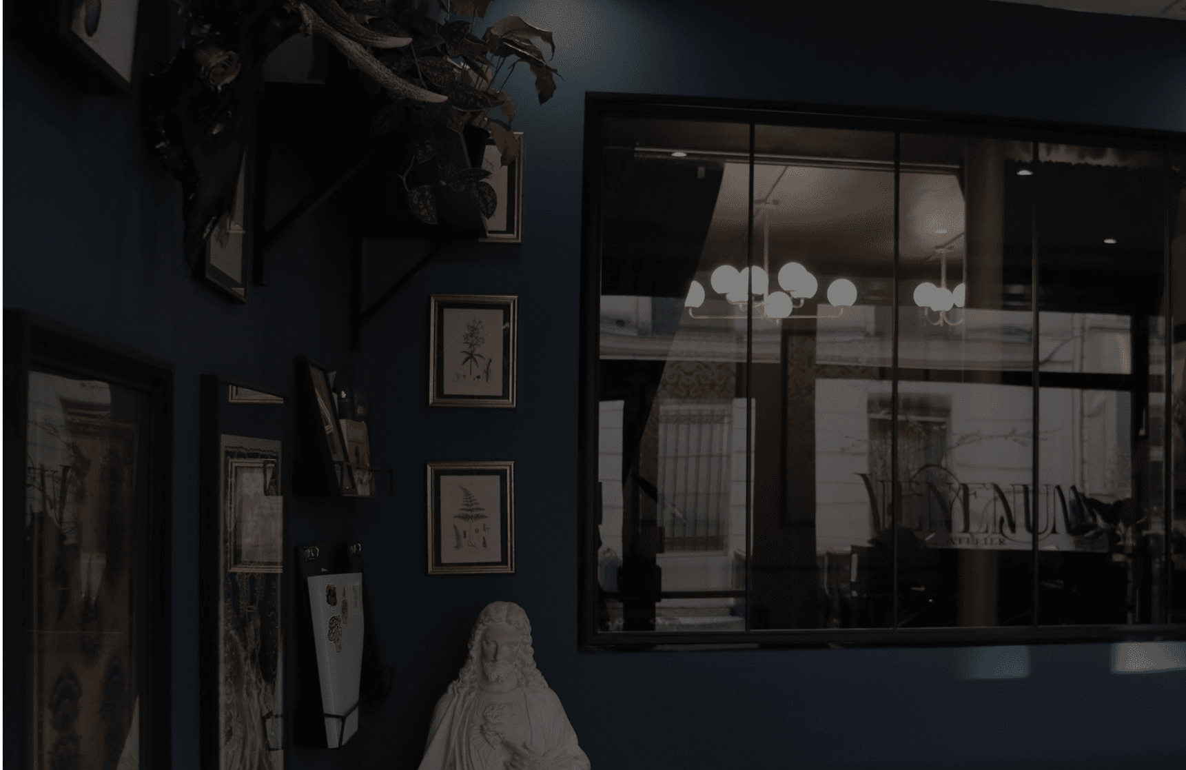 Venenum Studio